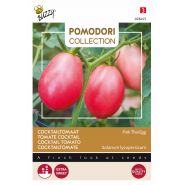 Buzzy® Pomodori, Tomaat Pink Thai Egg - afbeelding 1