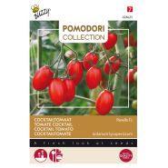 Buzzy® Pomodori, Tomaat Ravello F1 - afbeelding 1