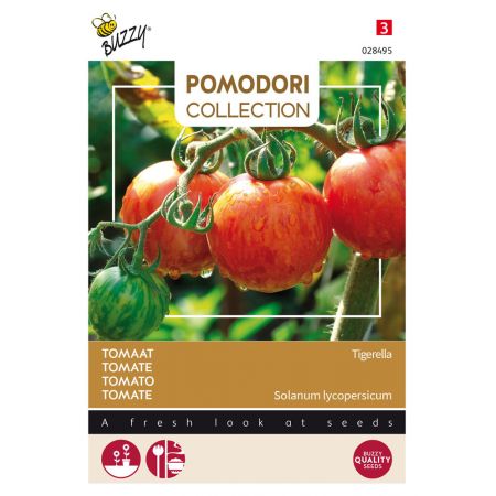 Buzzy® Pomodori, Tomaat Tigerella - afbeelding 1