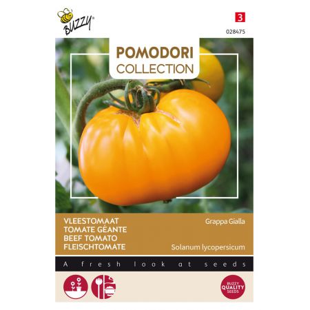 Buzzy® Pomodori, Vleestomaat Grappa Gialla - afbeelding 1