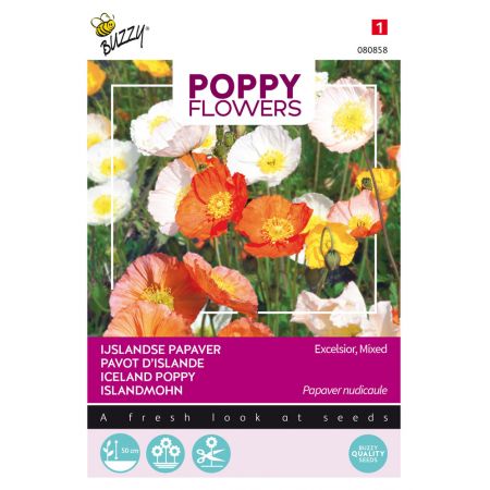 Buzzy® Poppy Flowers, IJslandse papaver - afbeelding 1