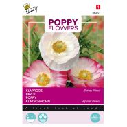 Buzzy® Poppy Flowers, Klaproos Gemengd - afbeelding 1