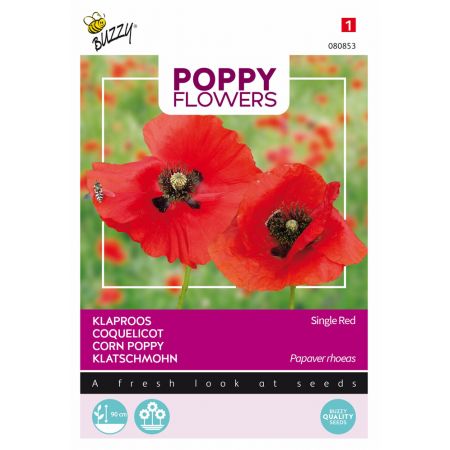 Buzzy® Poppy Flowers, Klaproos Rhoeas Rood - afbeelding 1