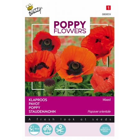 Buzzy® Poppy Flowers, Oosterse klaproos gemengd - afbeelding 1