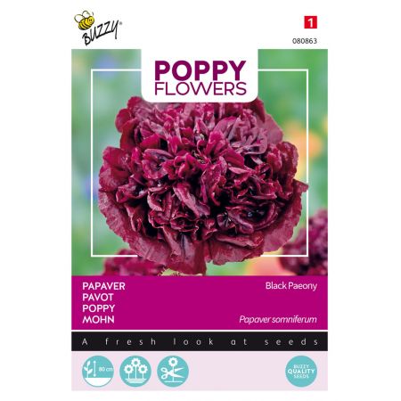 Buzzy® Poppy Flowers, Papaver Black Paeony - afbeelding 1