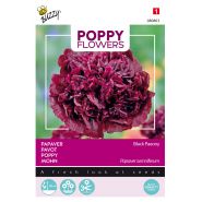 Buzzy® Poppy Flowers, Papaver Black Paeony - afbeelding 1