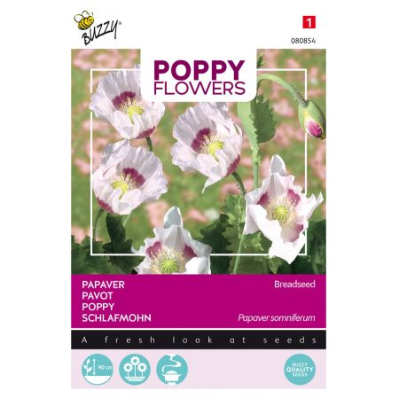 Buzzy® Poppy Flowers, Papaver Blauwmaanzaad - afbeelding 1