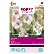 Buzzy® Poppy Flowers, Papaver Blauwmaanzaad - afbeelding 1