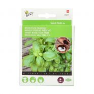 Buzzy® Seedpads Basilicum 4x 8cm - afbeelding 1