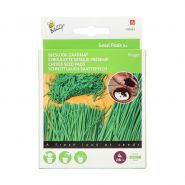 Buzzy® Seedpads Bieslook Prager 4x 8cm - afbeelding 1