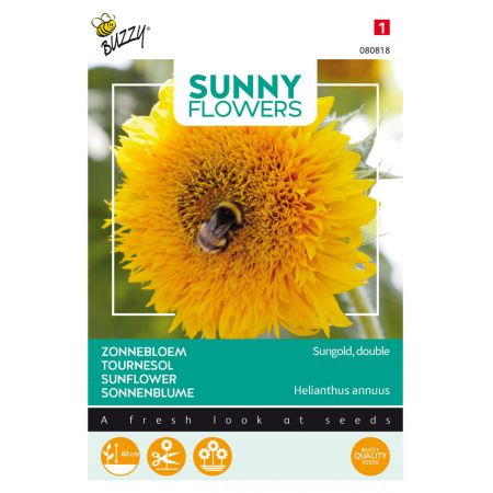 Buzzy® Sunny Flowers, lage Zonnebloem Sungold dubbelbloemig - afbeelding 1