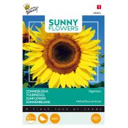 Buzzy® Sunny Flowers, Reuzenzonnebloem Giganteus - afbeelding 1