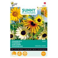 Buzzy® Sunny Flowers, Zonnebloem Esther - afbeelding 1