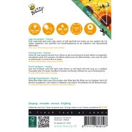 Buzzy® Sunny Flowers, Zonnebloem Fantasy - afbeelding 2