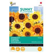 Buzzy® Sunny Flowers, Zonnebloem Fantasy - afbeelding 1