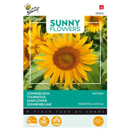 Buzzy® Sunny Flowers, Zonnebloem Irish Eyes - afbeelding 1