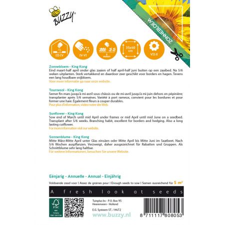 Buzzy® Sunny Flowers, Zonnebloem King Kong - afbeelding 2