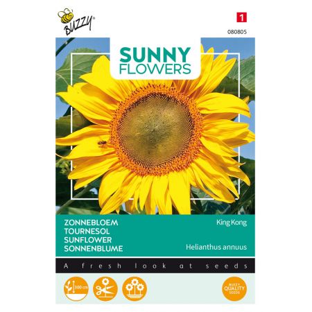 Buzzy® Sunny Flowers, Zonnebloem King Kong - afbeelding 1