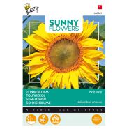 Buzzy® Sunny Flowers, Zonnebloem King Kong - afbeelding 1