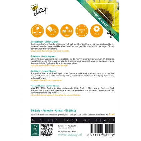 Buzzy® Sunny Flowers, Zonnebloem Lemon Queen - afbeelding 2