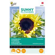 Buzzy® Sunny Flowers, Zonnebloem Moonwalker - afbeelding 1