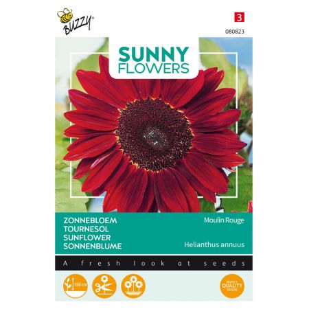 Buzzy® Sunny Flowers, Zonnebloem Moulin Rouge - afbeelding 1