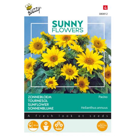 Buzzy® Sunny Flowers, Zonnebloem Pacino Gold - afbeelding 1