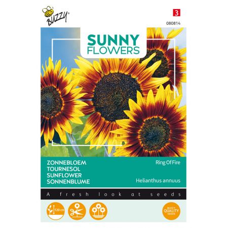 Buzzy® Sunny Flowers, Zonnebloem Ring of Fire - afbeelding 1