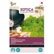 Buzzy® Xotica Bayam Klaroen - afbeelding 1