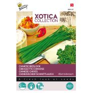 Buzzy® Xotica Chinese Bieslook - afbeelding 1