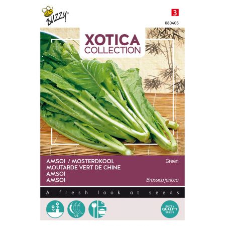 Buzzy® Xotica Groene Amsoi of mosterdkool - afbeelding 1