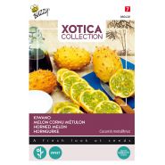 Buzzy® Xotica Kiwano, Hoornkomkommer - afbeelding 1