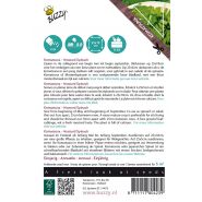 Buzzy® Xotica Komatsuna, Mustard Spinach - afbeelding 2