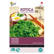 Buzzy® Xotica Koriander - afbeelding 1