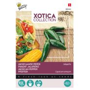 Buzzy® Xotica Mexicaanse peper Jalapeño - afbeelding 1