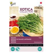 Buzzy® Xotica Mizuna, Japanse salade - afbeelding 1