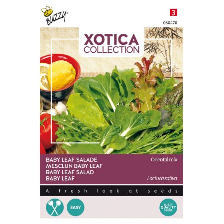 Buzzy® Xotica Oriental mix, Baby Leaf mix - afbeelding 1