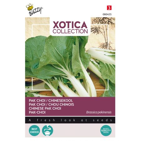 Buzzy® Xotica Pak choi Chinesekool - afbeelding 1