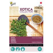 Buzzy® Xotica Peper Groene Curry Chabai - afbeelding 1