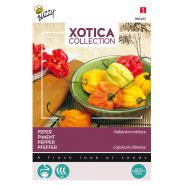 Buzzy® Xotica Peper Habanero mix - afbeelding 1