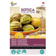 Buzzy® Xotica Pepino, Meloenpeer - afbeelding 1