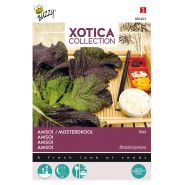 Buzzy® Xotica Rode Amsoi of Mosterdkool - afbeelding 1