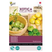 Buzzy® Xotica Tomatillo, Mexicaanse aardkers - afbeelding 1