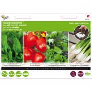 Buzzy® Zaadmatjes Salade 4 matjes (5) - afbeelding 1