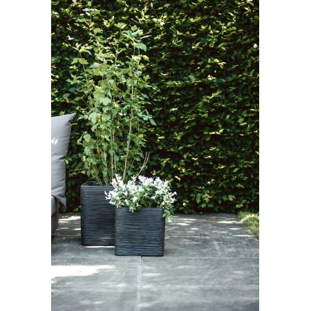 Capi Europe - Pot vierkant Rib NL 40x40x40 zwart - afbeelding 2