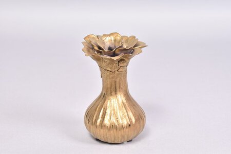 Cipolla Gold - 6 x 13 cm