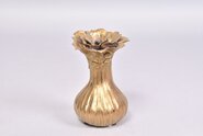 Cipolla Gold - 6 x 13 cm