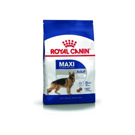 Maxi Adult  15kg