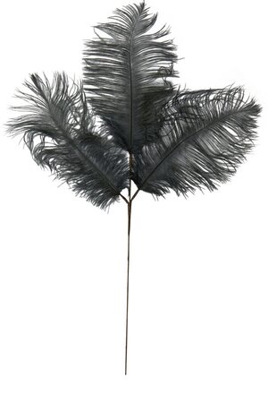 Ornament 3 Veren FEATHER Donker grijs - 30 x 1 x 59 cm