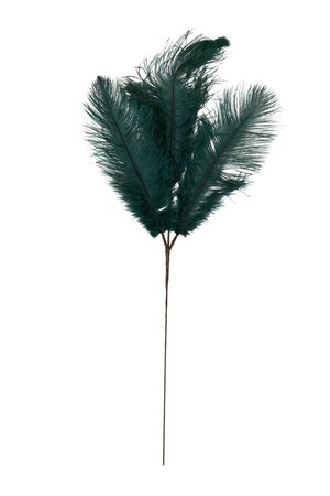 Ornament 3 Veren FEATHER Donker Groen - 30 x 1 x 59 cm